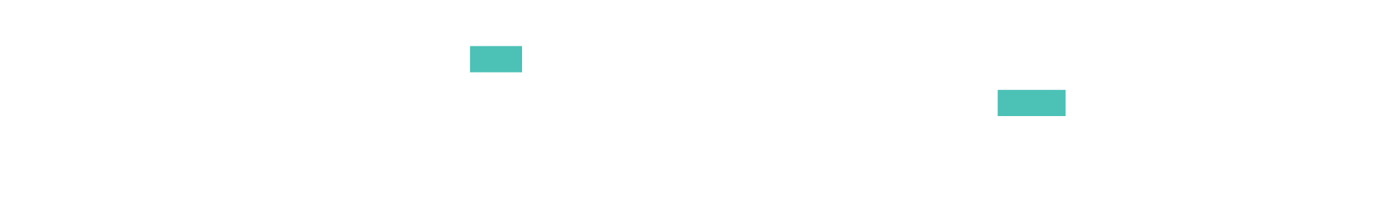 CustomApp Logo White