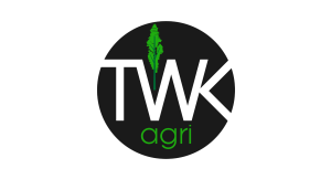 Untitled design (33)